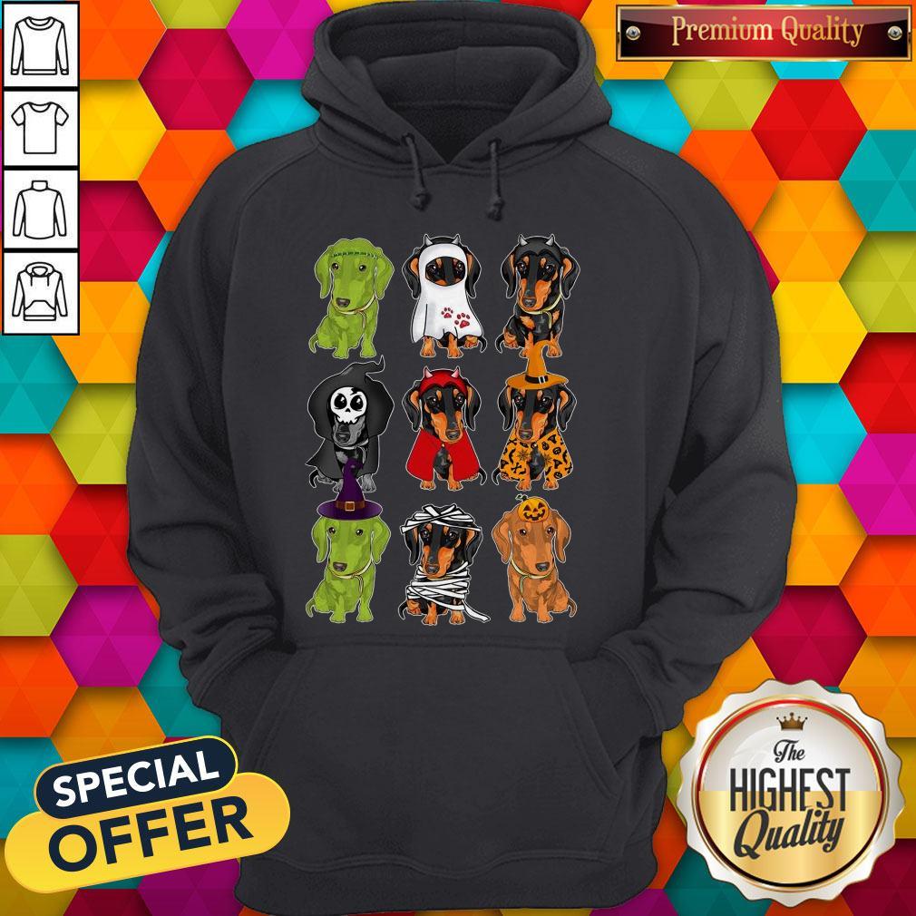 Pretty Daschund Haloween Chacracters Shirt