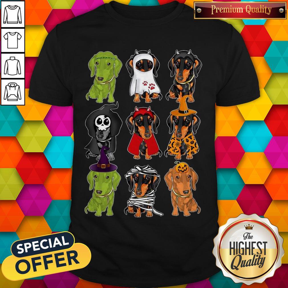 Pretty Daschund Haloween Chacracters Shirt