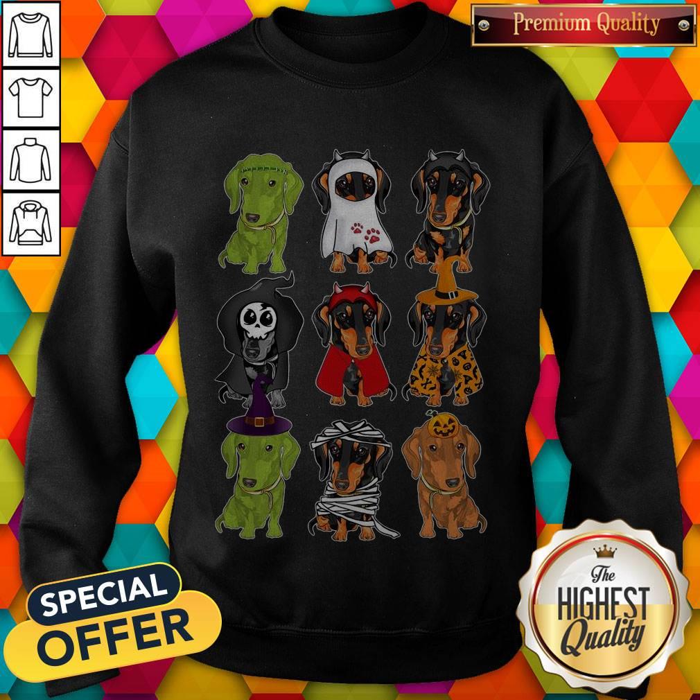 Pretty Daschund Haloween Chacracters Shirt
