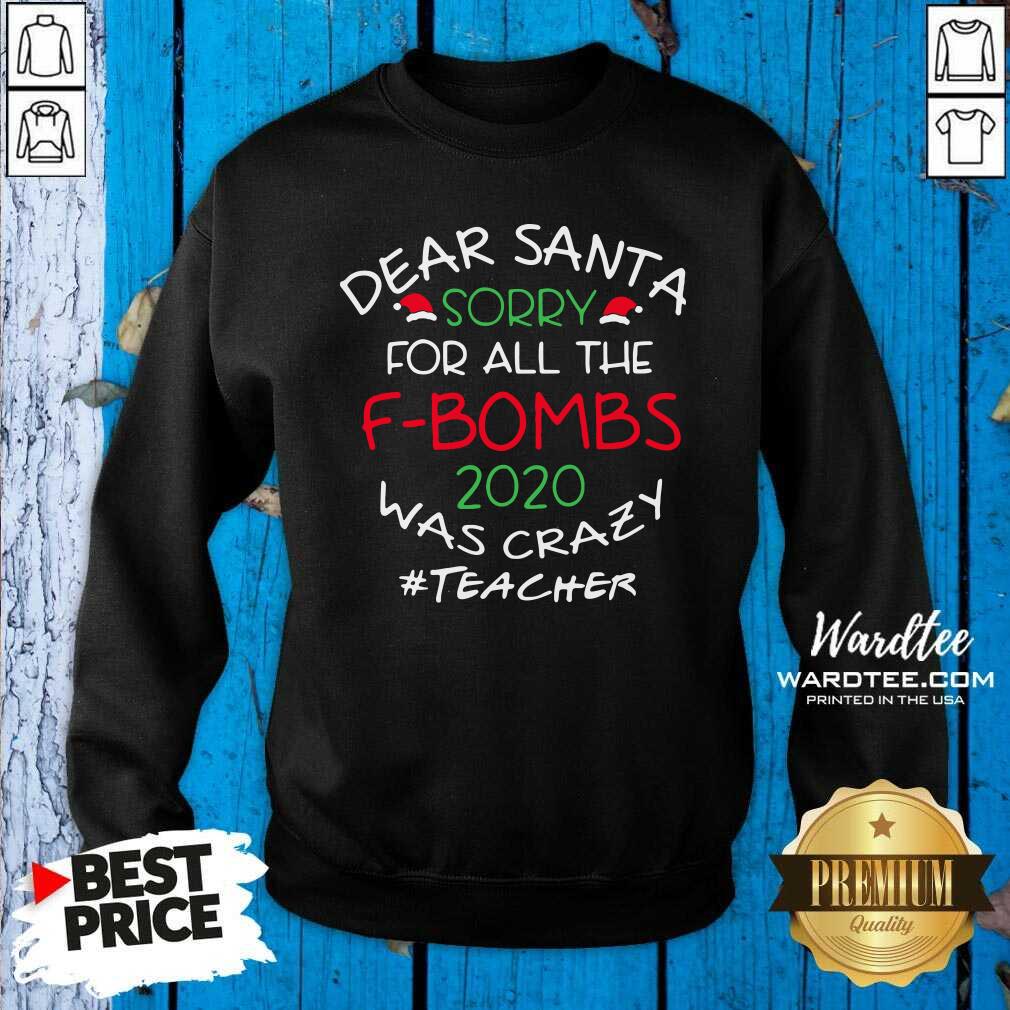Pretty Dear Santa Sorry For All The F-Bombs 2020 Was Crazy Shirt