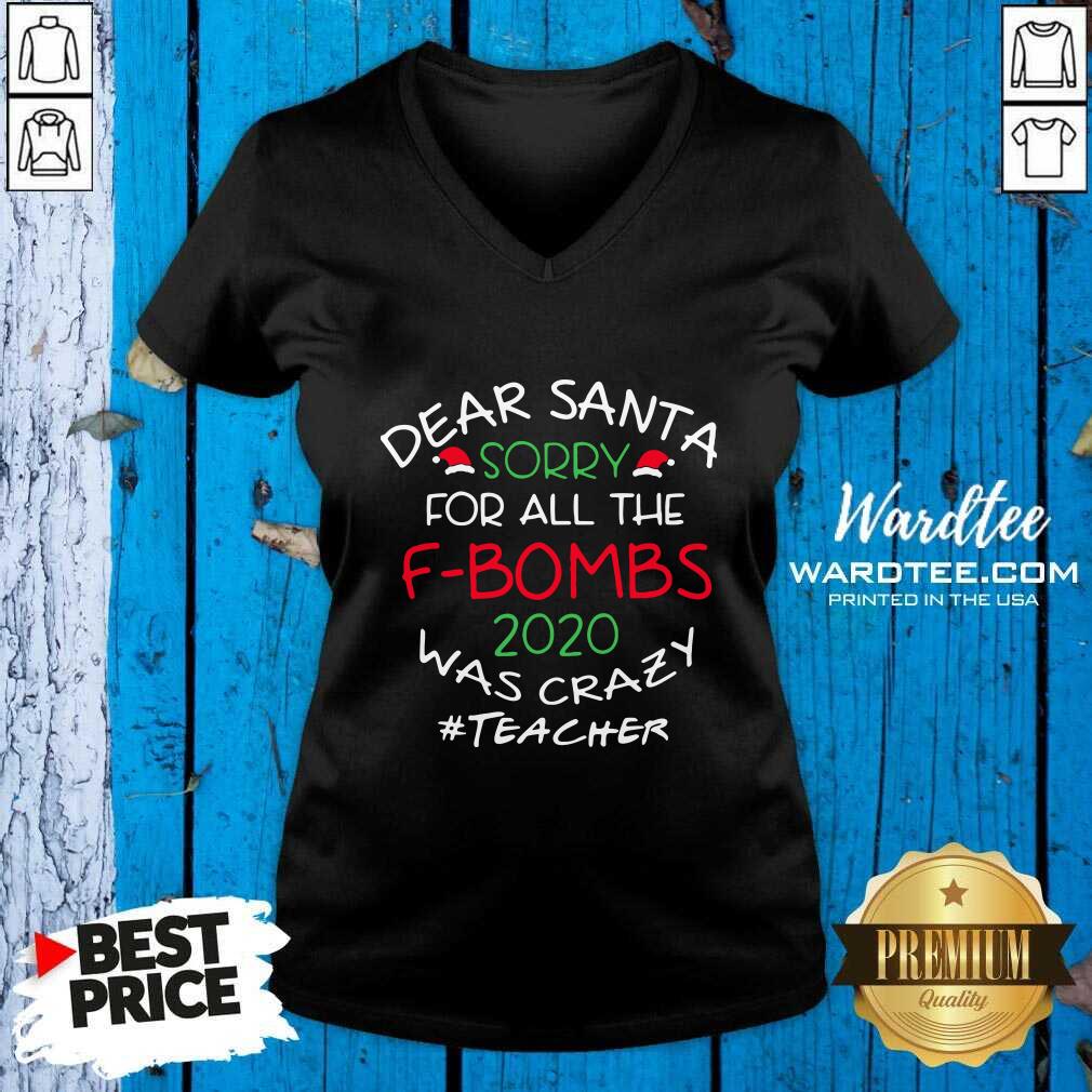 Pretty Dear Santa Sorry For All The F-Bombs 2020 Was Crazy Shirt