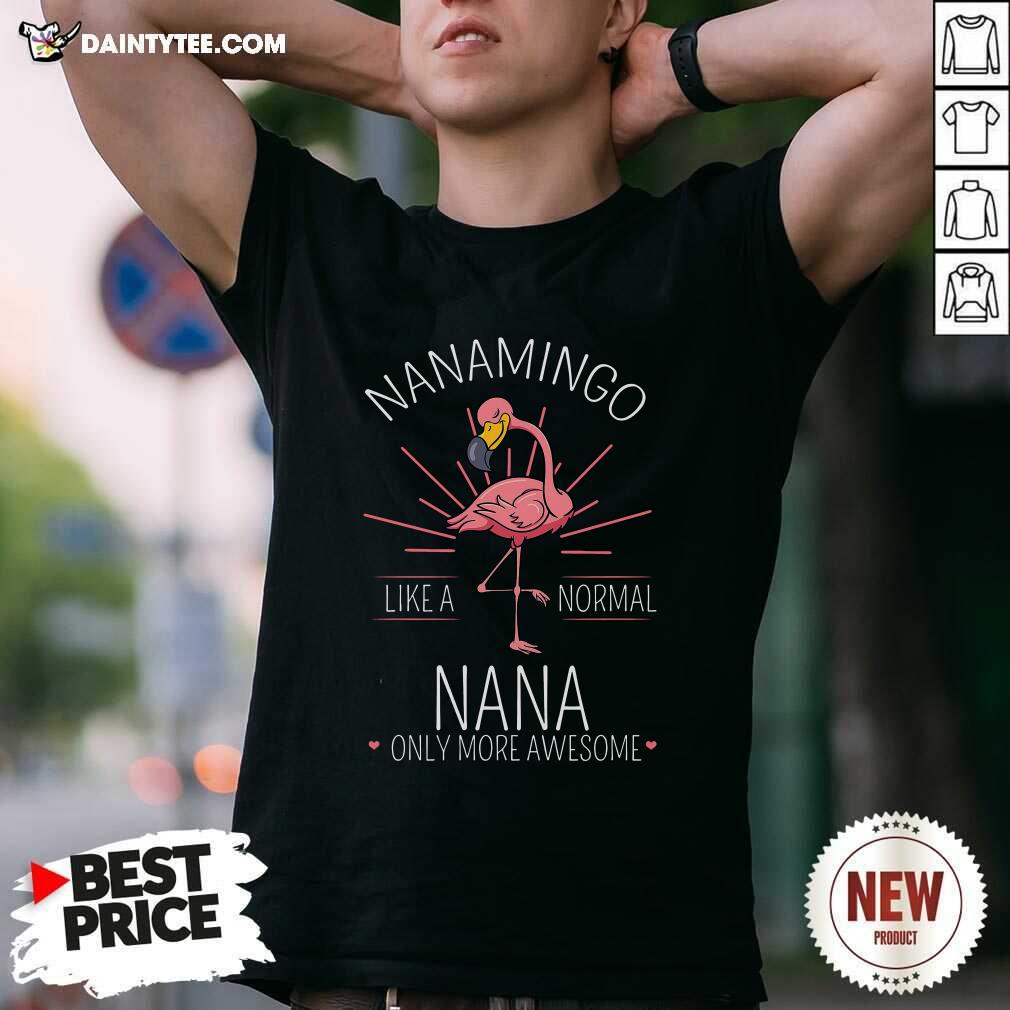 Pretty Flamingo Nanamingo Like A Normal Nana Only More Awesome Shirt