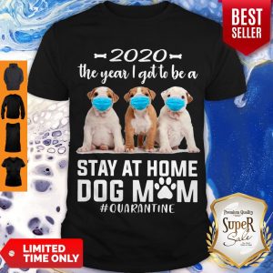 Funny 2020 The Year I Got To Be A Stay At Home PitBull Dog Mom Quarantine Shirt