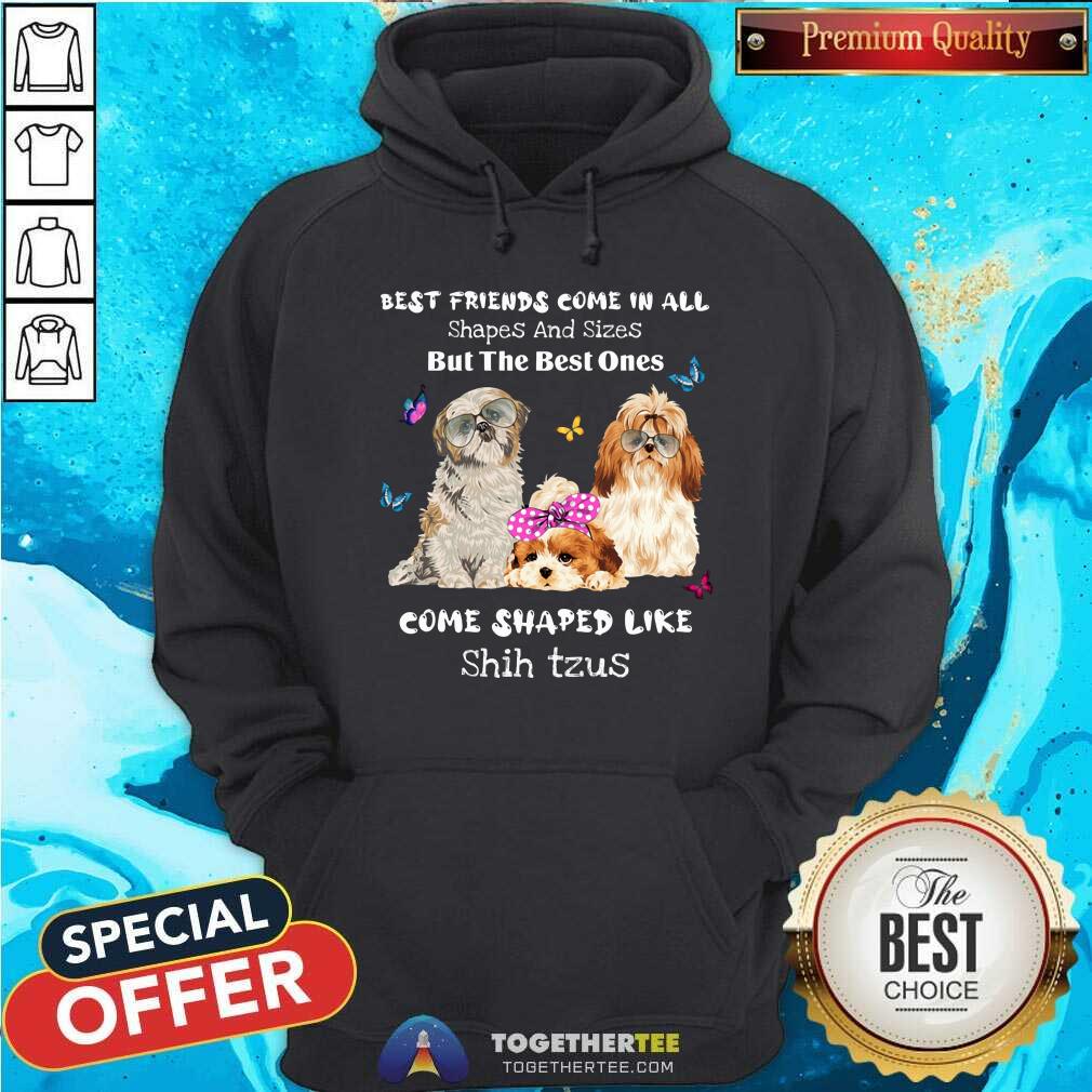 Shih Tzu Best Friends Come All Shapes Shirt