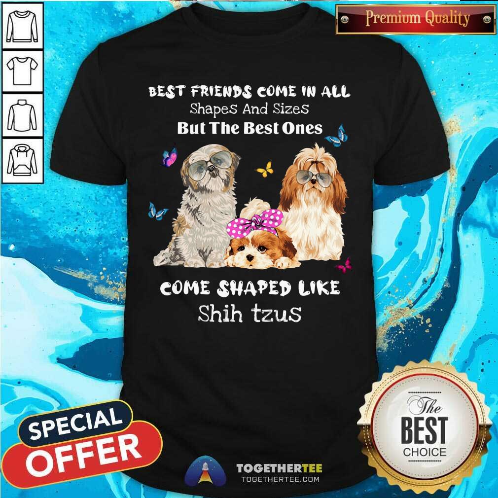 Shih Tzu Best Friends Come All Shapes Shirt