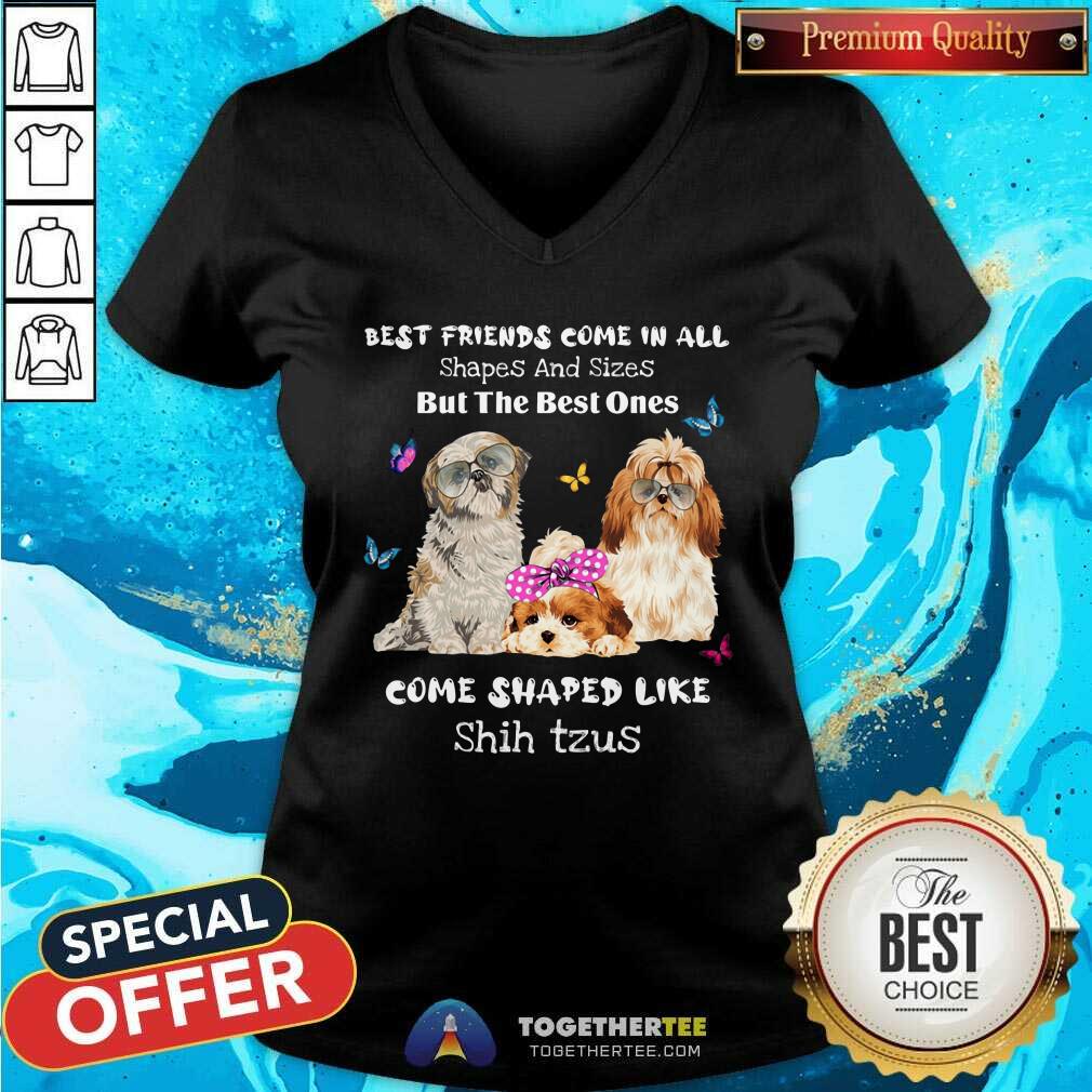 Shih Tzu Best Friends Come All Shapes Shirt
