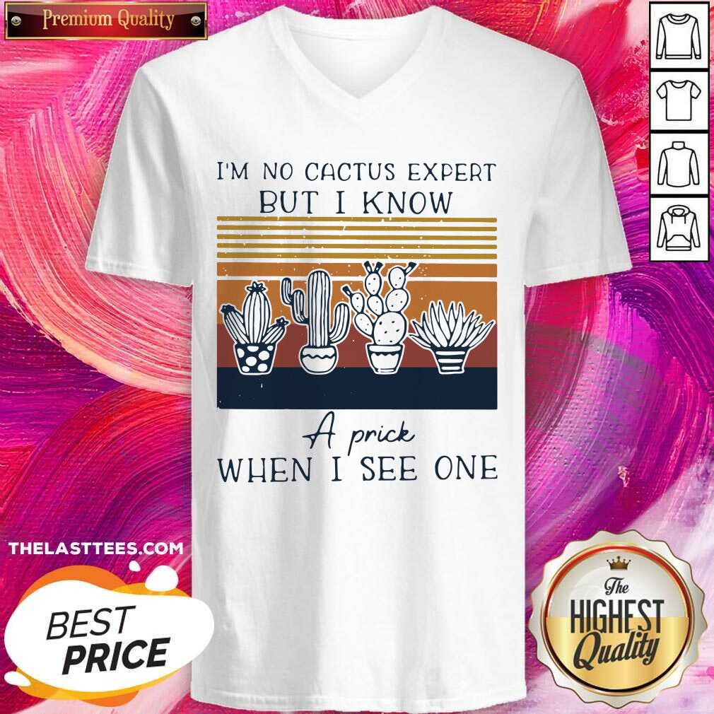 Top Im No Cactus Expert But I Know A Prick When I See One Vintage Shirt