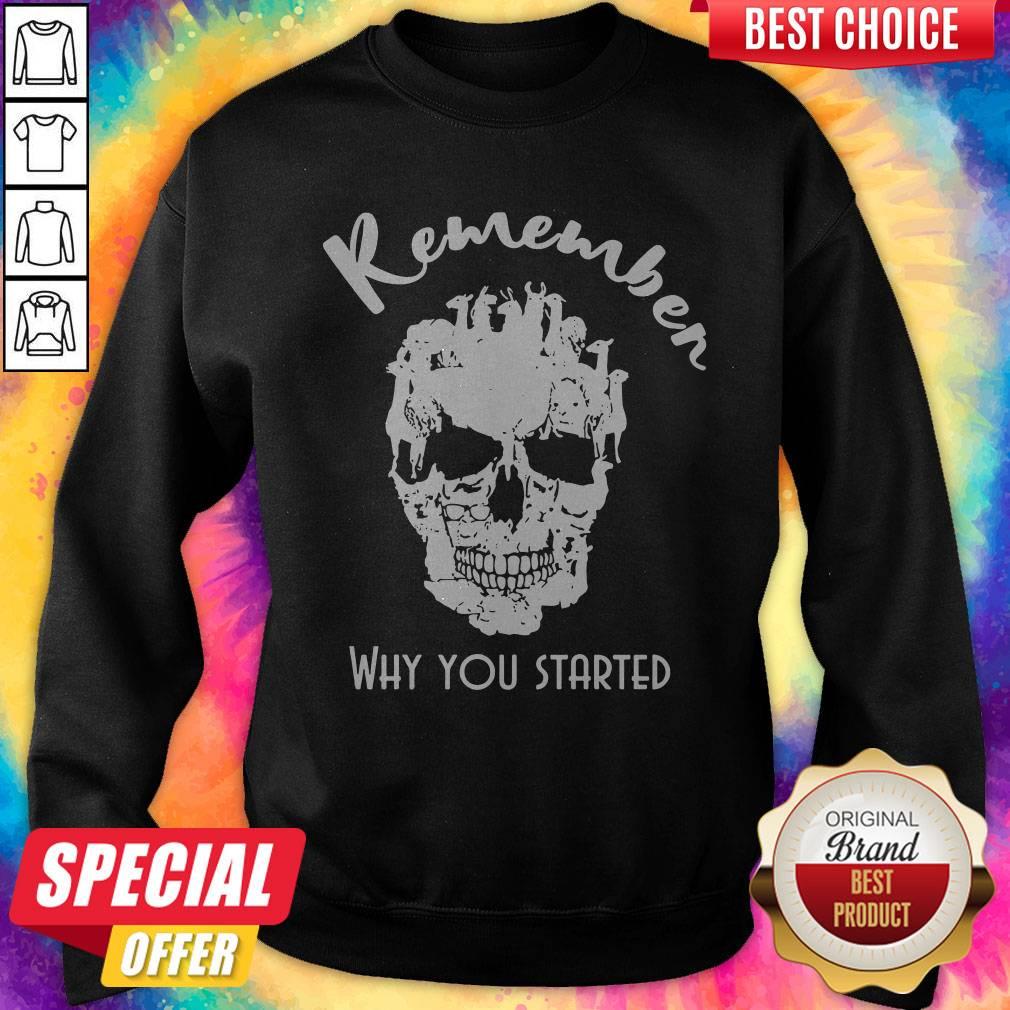 Top Llama Skull Remember Why You Started Halloween Shirt