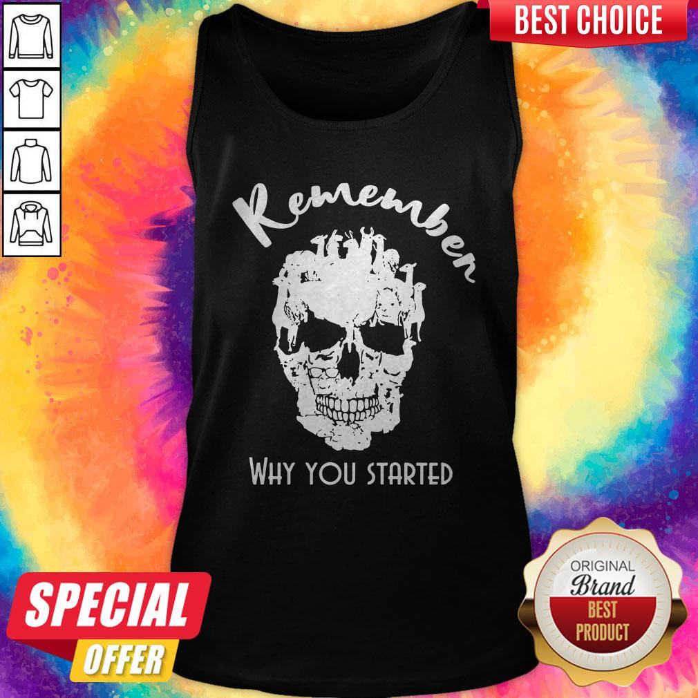 Top Llama Skull Remember Why You Started Halloween Shirt