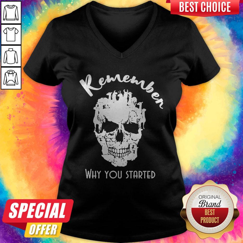 Top Llama Skull Remember Why You Started Halloween Shirt