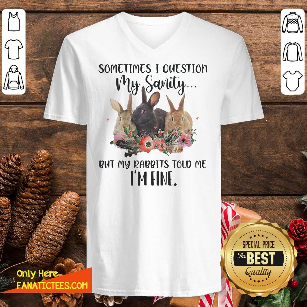 top-rabbit-sometimes-i-question-my-sanity-but-my-rabbits-told-me-im-fine-v-neck.jpg