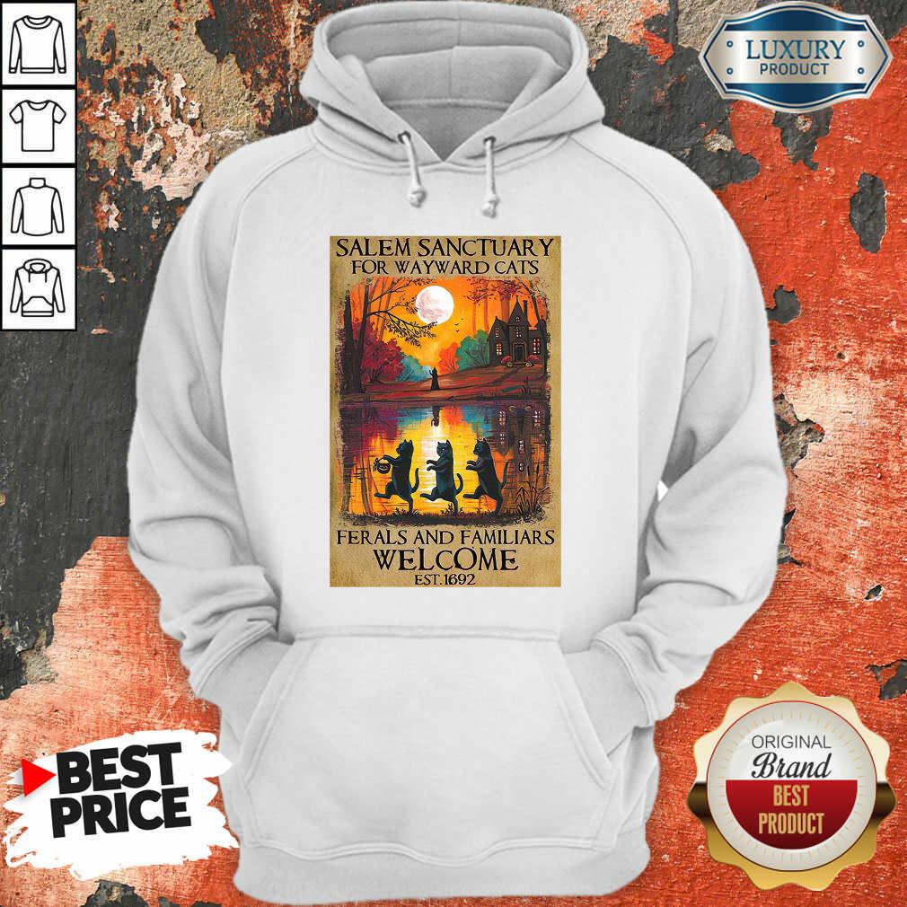 top-salem-sanctuary-for-wayward-cats-ferals-and-familiars-welcome-est-1692-hoodie.jpg