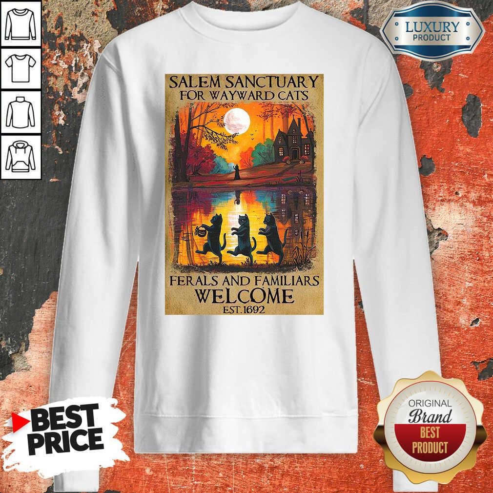 top-salem-sanctuary-for-wayward-cats-ferals-and-familiars-welcome-est-1692-sweatshirt.jpg