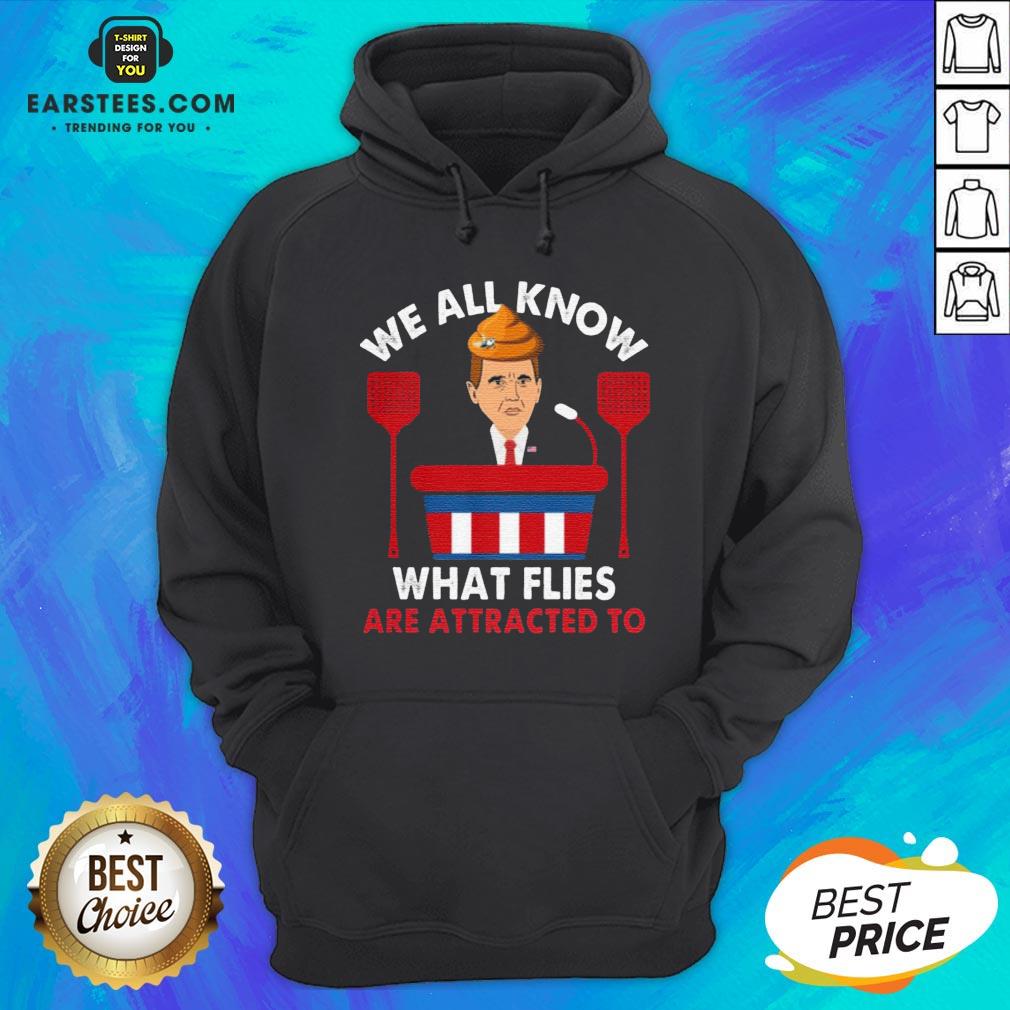 We All Know What Flies Are Attracted To Funny Pence 2020 VP Debate Shirt