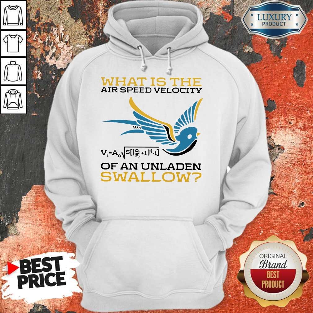 What Is The Air Speed Velocity Of An Unladen Swallow Math Shirt