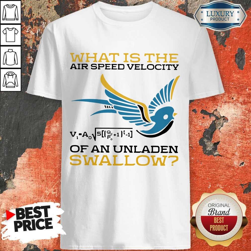What Is The Air Speed Velocity Of An Unladen Swallow Math Shirt