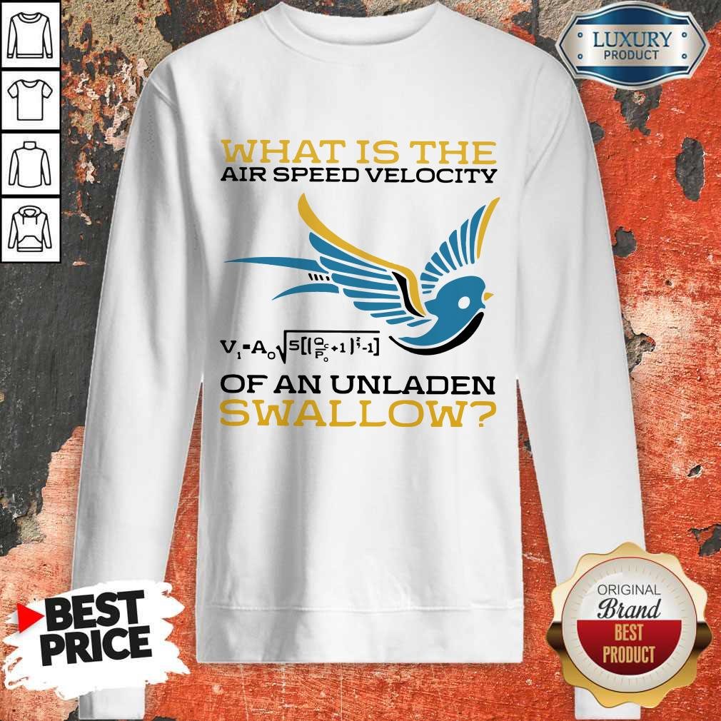 What Is The Air Speed Velocity Of An Unladen Swallow Math Shirt