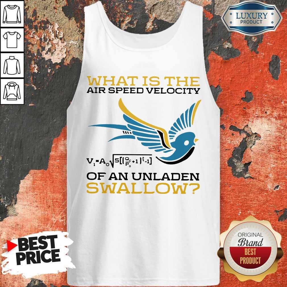 What Is The Air Speed Velocity Of An Unladen Swallow Math Shirt