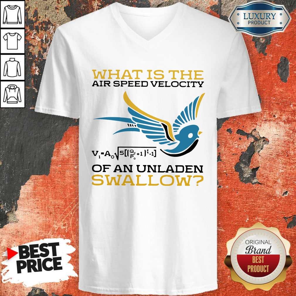 What Is The Air Speed Velocity Of An Unladen Swallow Math Shirt