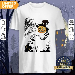 We're All Mad Here Cat Pumpkin Witch Halloween Shirt