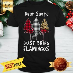 Flamingo Dear Santa Just Bring Flamingos Shirt