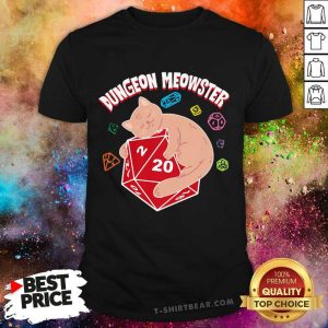 Funny Dungeon Meowster Shirt