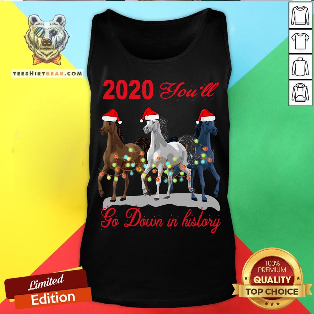 Cute Three Horse 2020 You Will Go Down In History Christmas Shirt