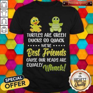 Turtles Are Green Ducks Go Quack We’re Best Friends Because Our Heads Are Equally Whack Shirt