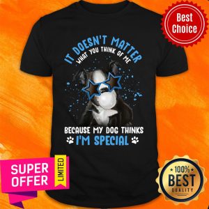 My Boston Terrier it Doesn't Mattrer What You Think of Me Because My Dog Thinks I'm Speacial Shirt