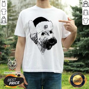 Perfect Ajr Merch Ajr Doggy Hat Shirt