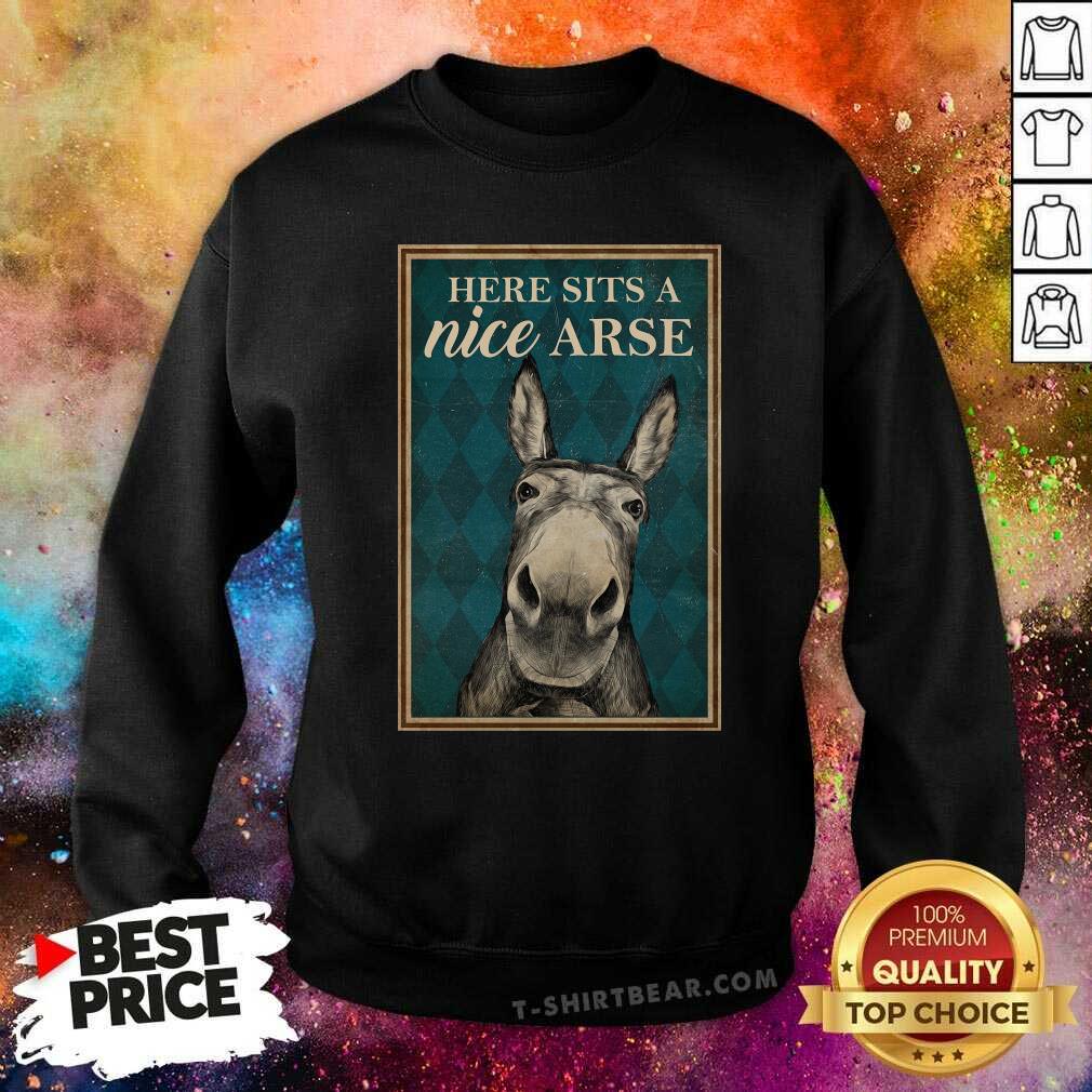 Beautiful Here Sits A Nice Arse Shirt