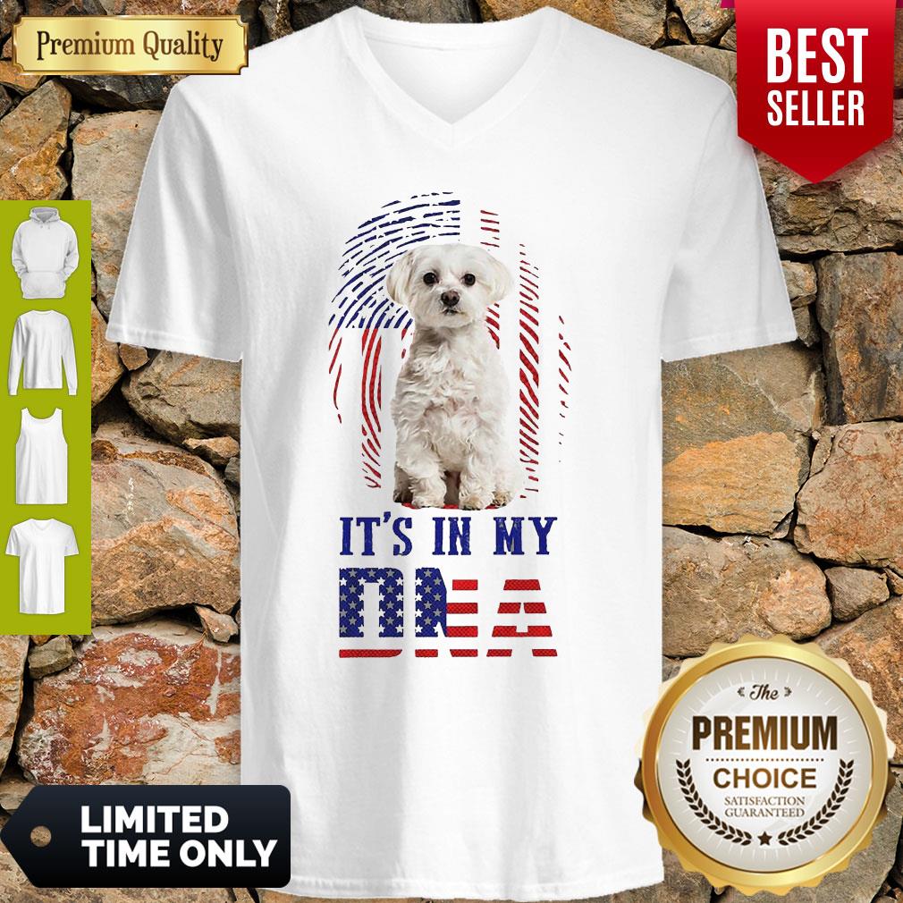 Official It's In My Dna Dog American Flag Shirt