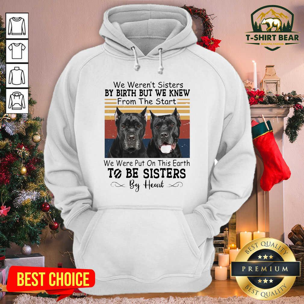 cool-cane-corso-we-werent-sisters-by-birth-but-we-knew-to-be-sisters-by-hearhoodie.jpg