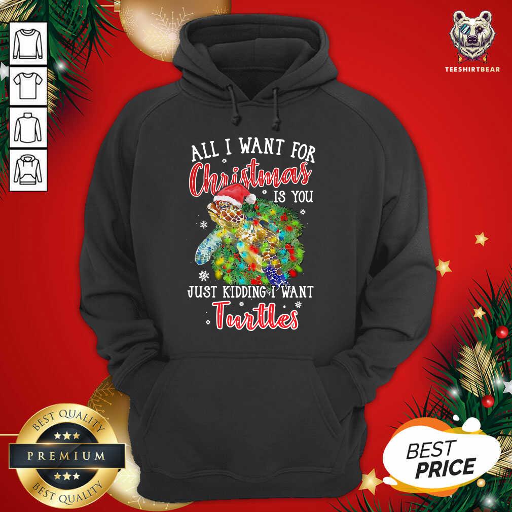 Funny All I Want For Christmas Is You Just Kidding I Want Turtles Shirt