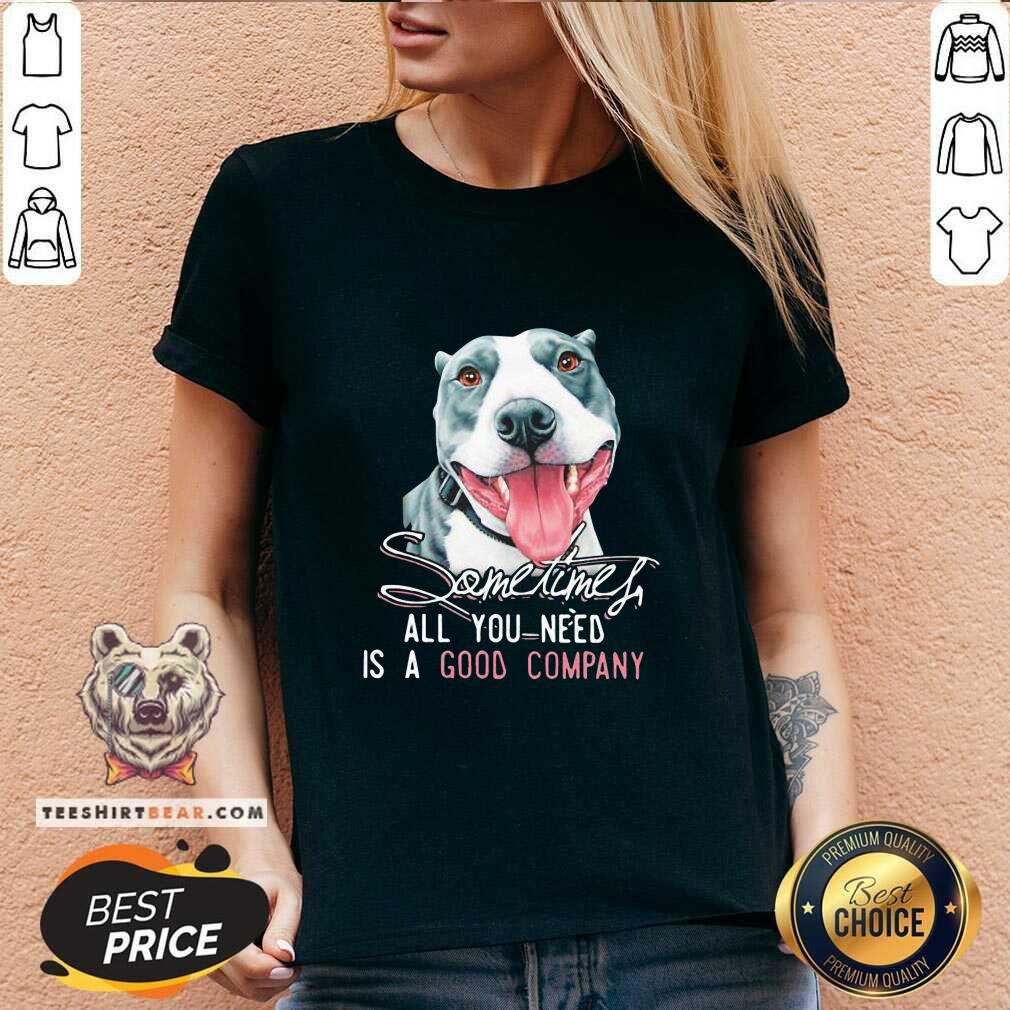 Funny Dog Sometimes All You Need Is A Good Company Shirt