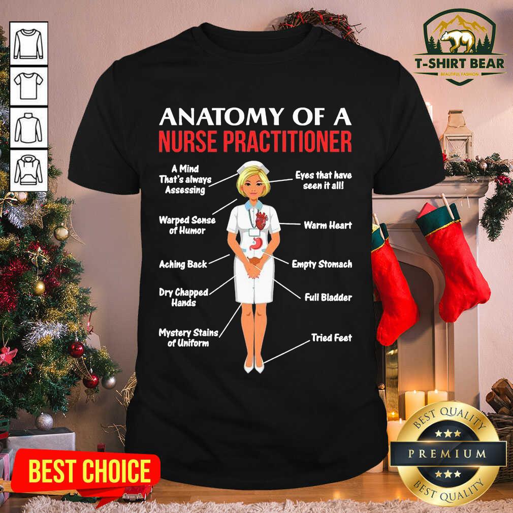 Funny Nurses Anatomy Of A Nurse Practitioner Shirt