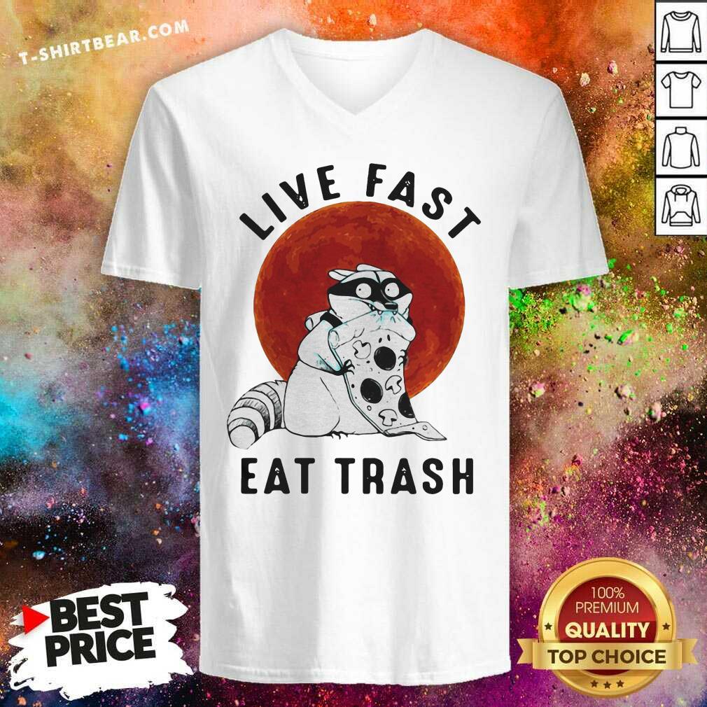 Great Fox Live Fast Eat Trash Vintage Shirt