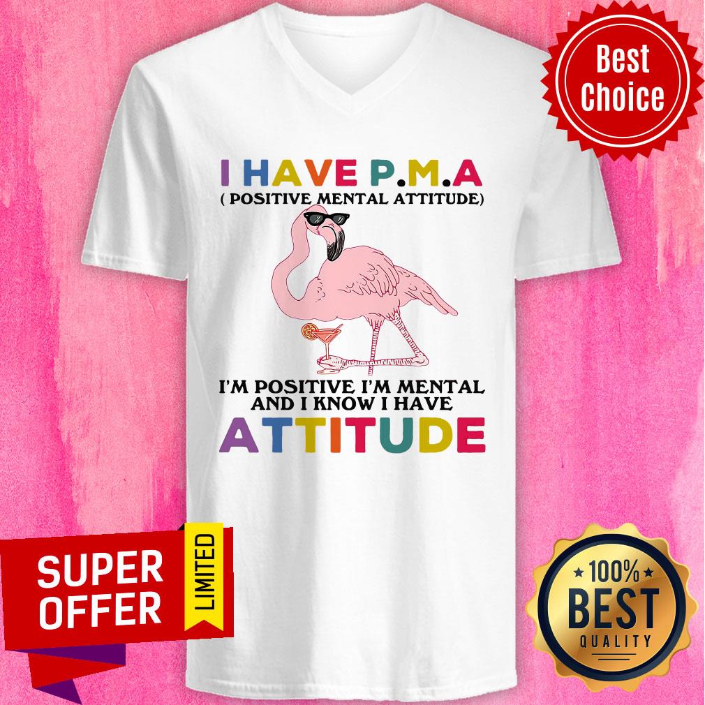 have-p-m-a-positive-mental-attitude-im-positive-im-mentally-and-i-know-i-have-attitude-v-neck.jpg