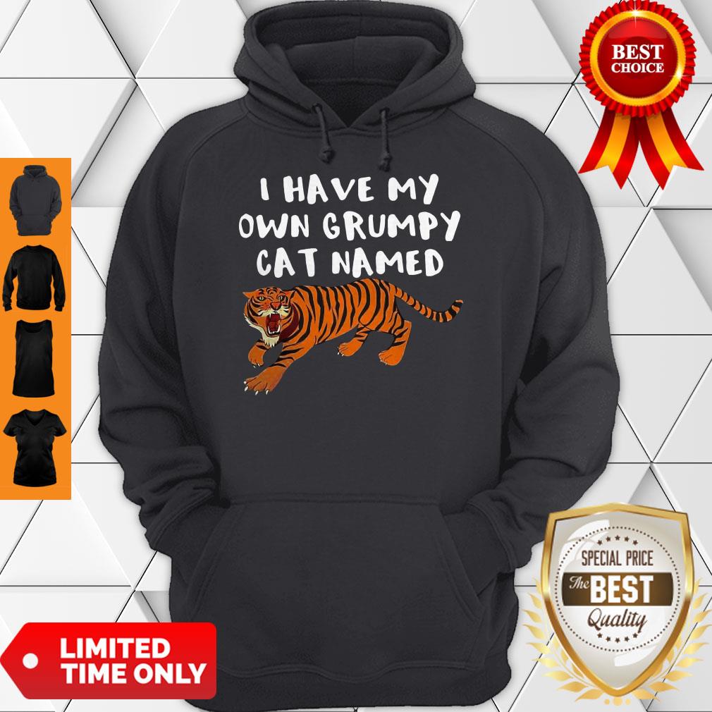 Cute I Have My Own Grumpy Cat Named Tiger Shirt
