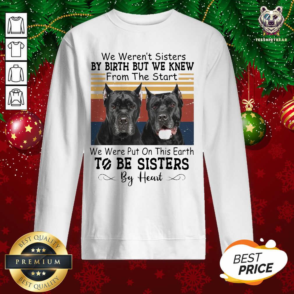 hot-cane-corso-we-werent-sweatshirt.jpg