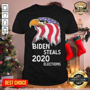 Funny Eagle Biden Steals 2020 Election American Flag Shirt
