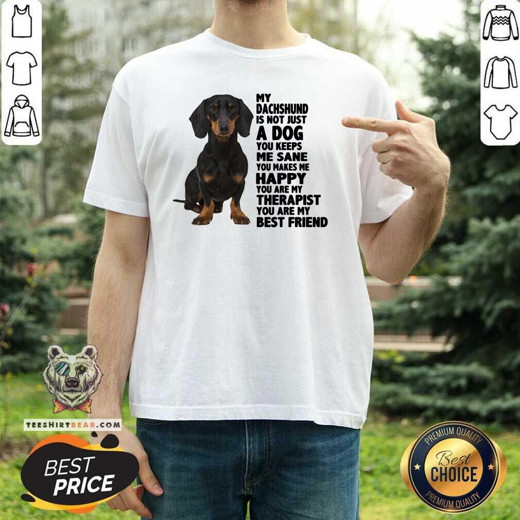 Lovely My Dachshund You Are My Therapist My Best Friends Shirt