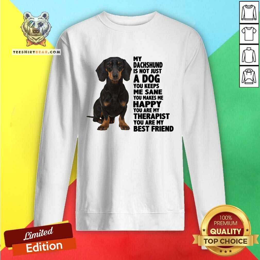 Lovely My Dachshund You Are My Therapist My Best Friends Shirt