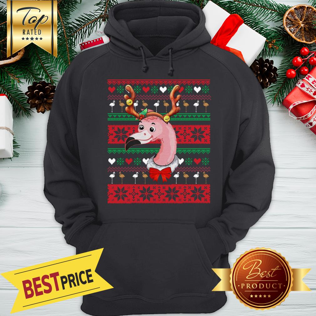Nice Flamingo Reindeer Ugly Christmas Shirt