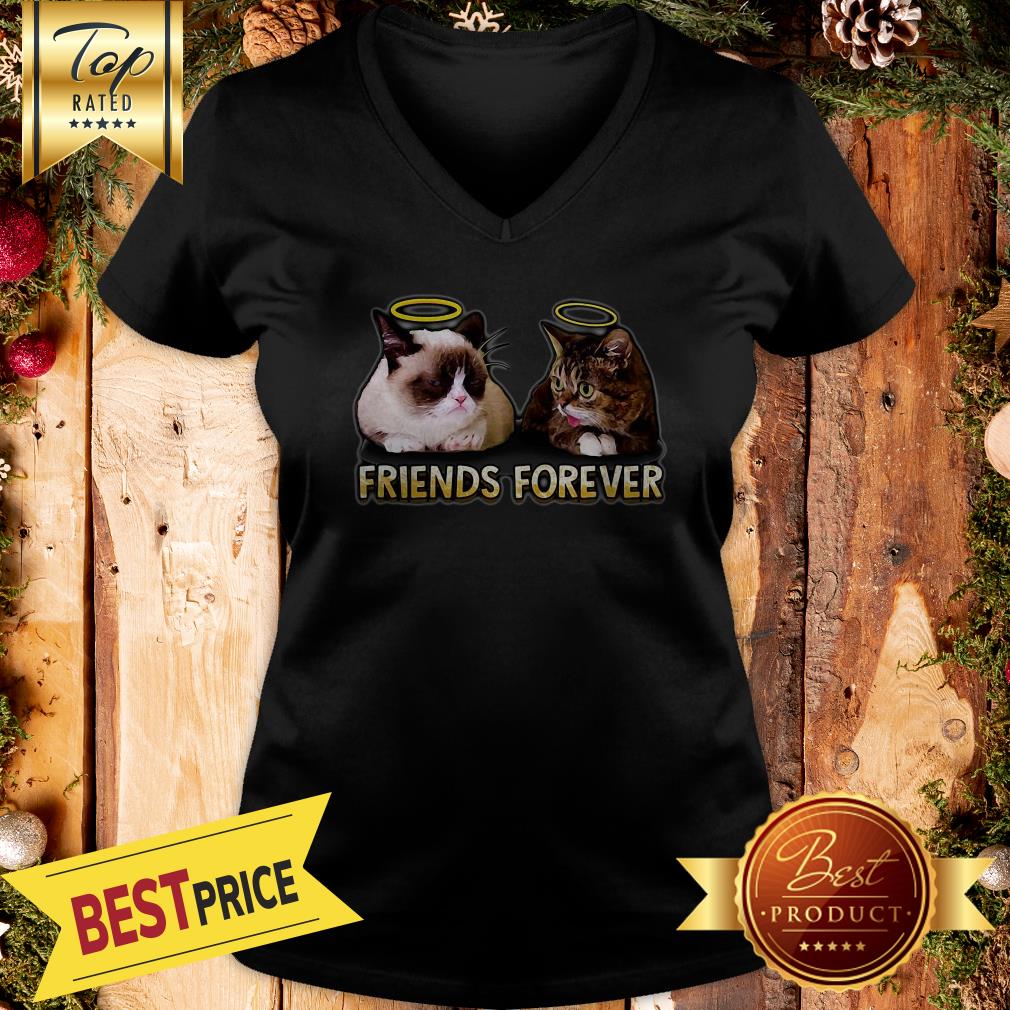 Nice Grumpy And Lil Bub Friends Forever Shirt