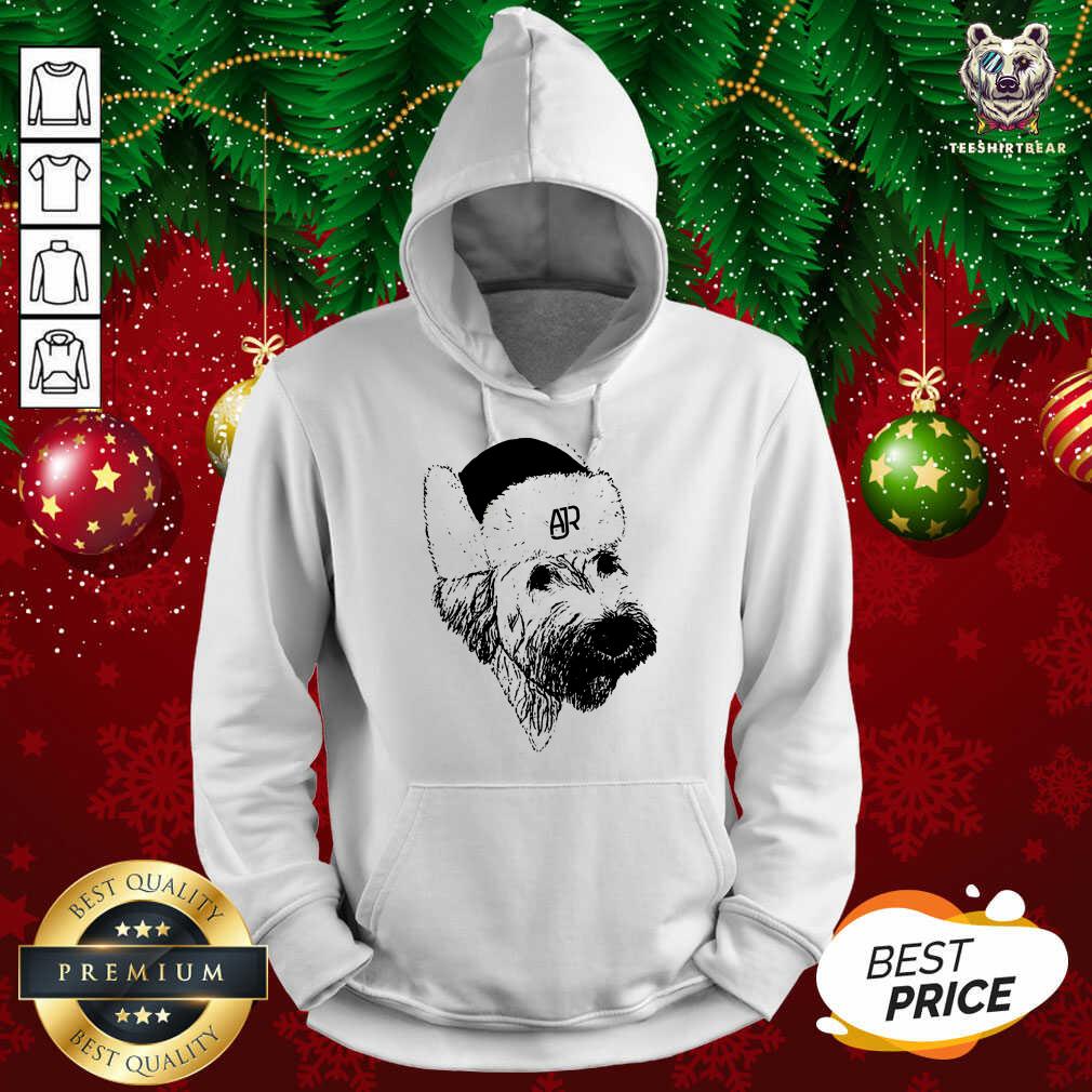 Perfect Ajr Merch Ajr Doggy Hat Shirt