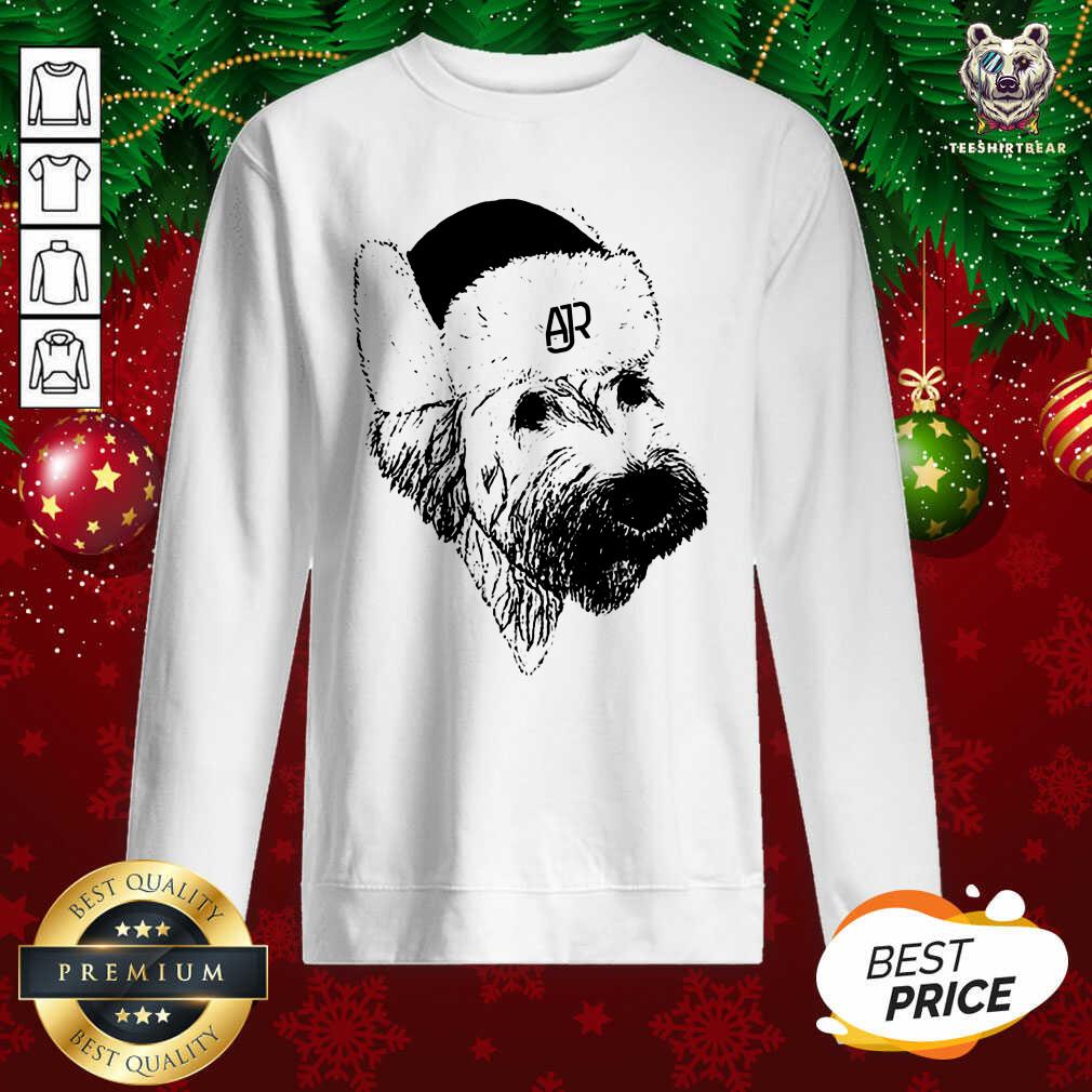 Perfect Ajr Merch Ajr Doggy Hat Shirt