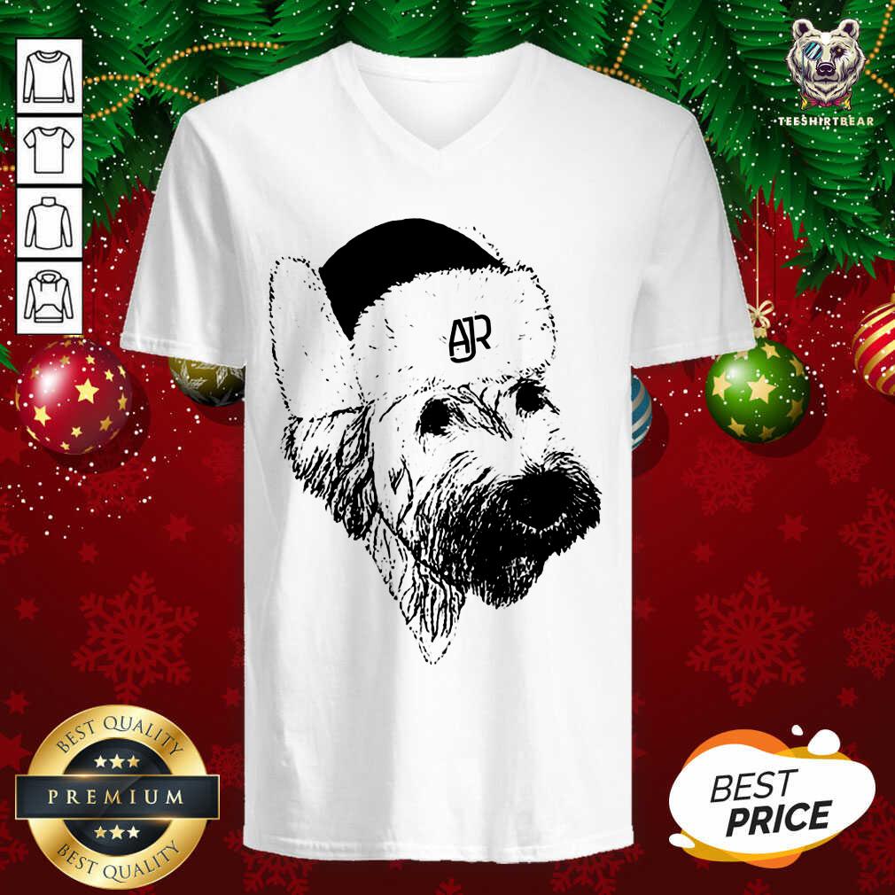 Perfect Ajr Merch Ajr Doggy Hat Shirt