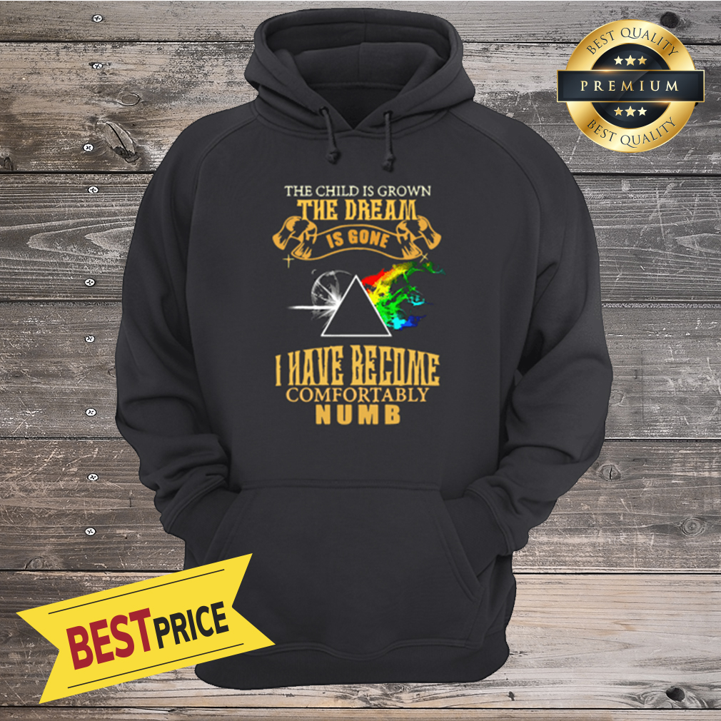 Pink Floyd the dream is gone i have become comfortably numb shirt