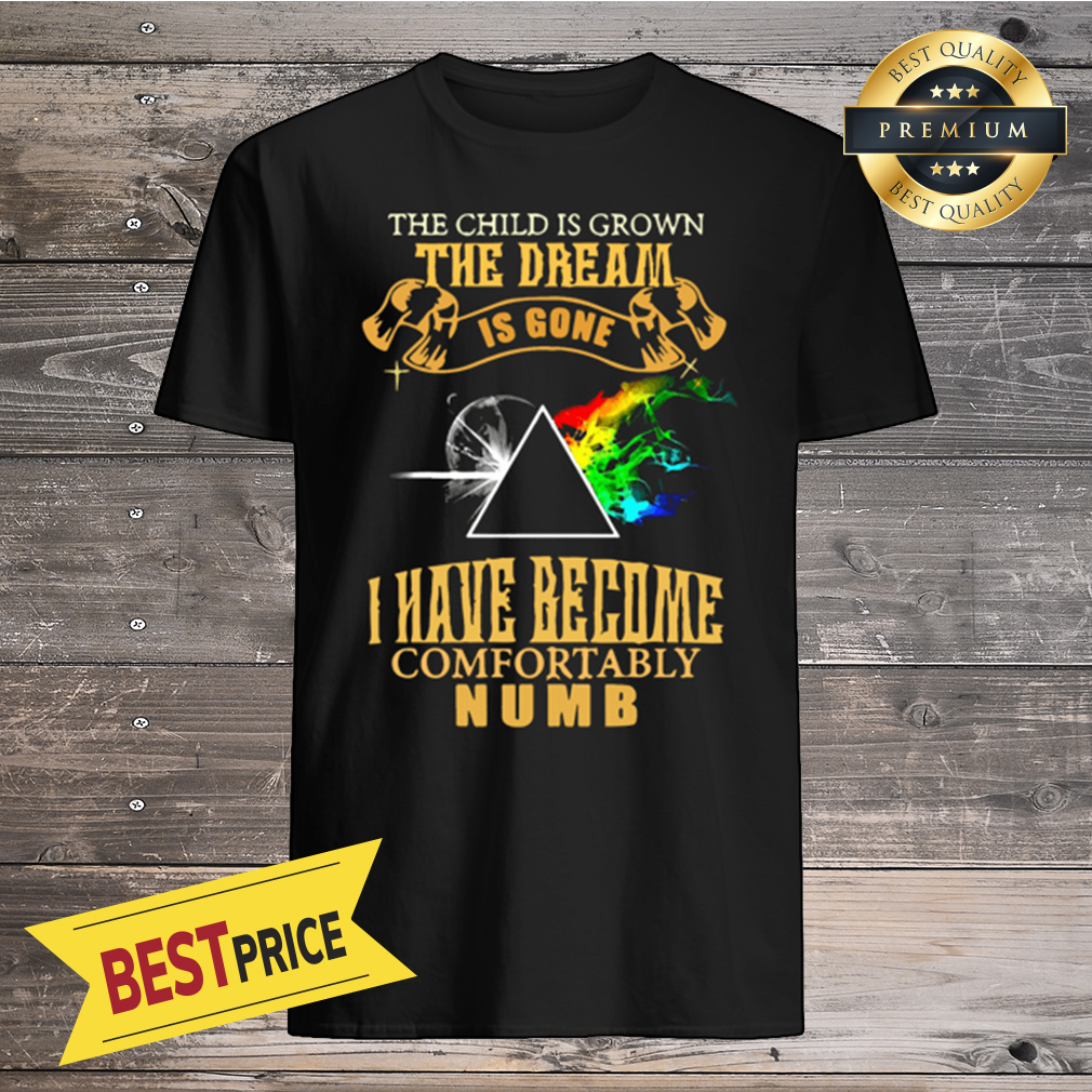 Pink Floyd the dream is gone i have become comfortably numb shirt